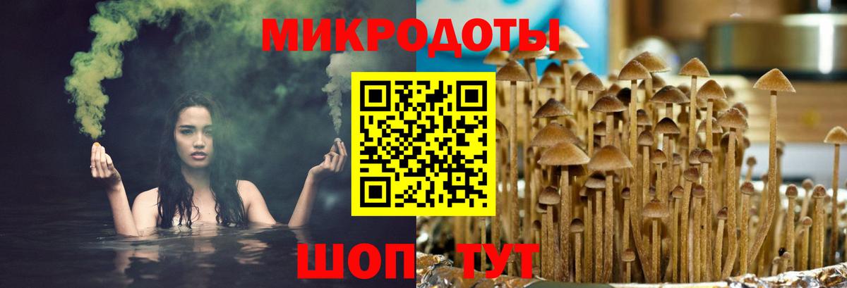 Псилоцибиновые грибы мицелий  Вход с VPN  Псилоцибиновые грибы прущие грибы  Верхний Уфалей 