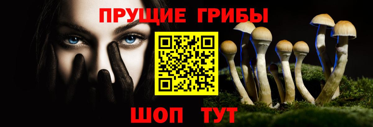 Галлюциногенные грибы GOLDEN TEACHER Верхний Уфалей
